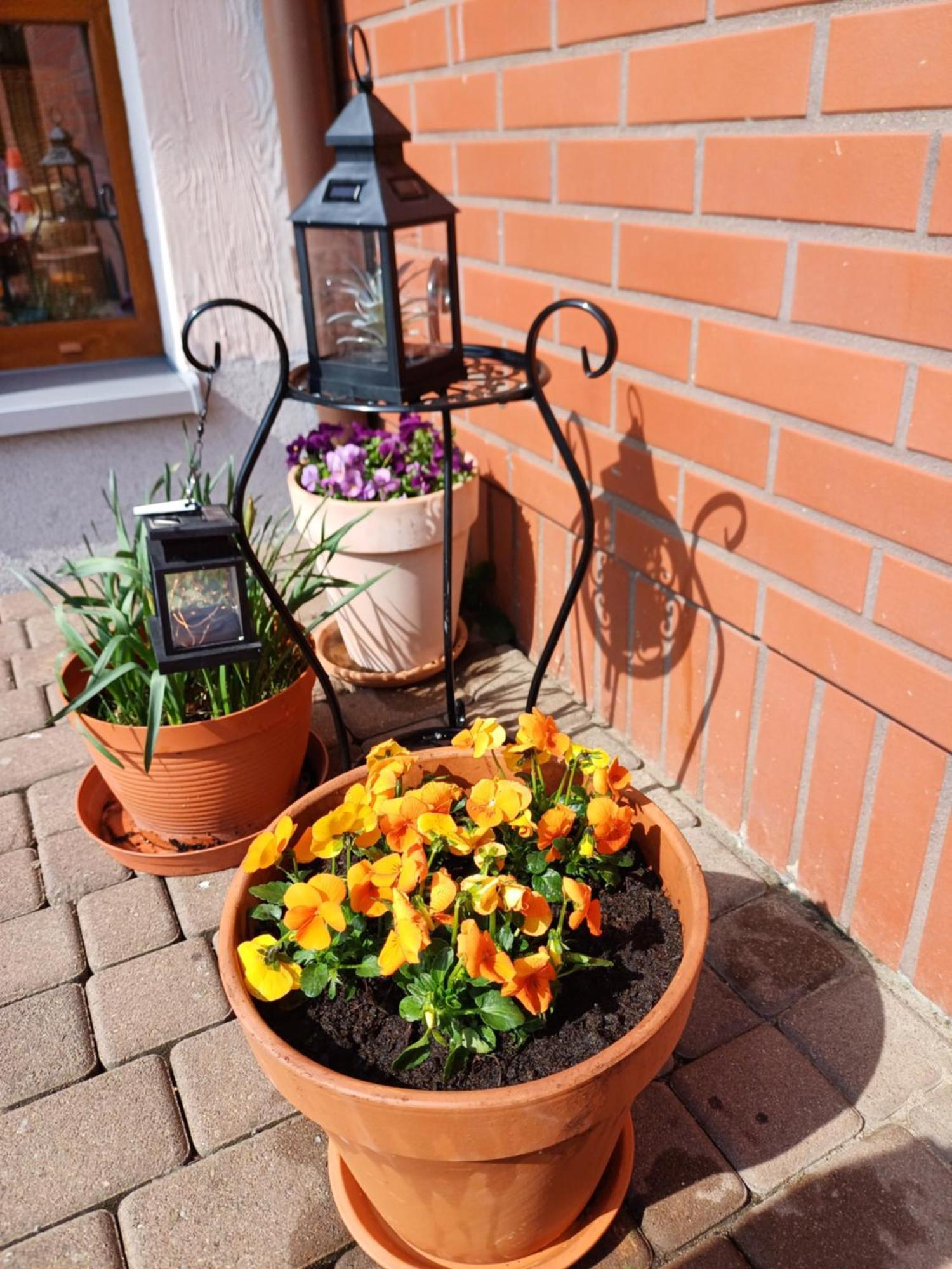 Apartamenty Levilla Rewa Exterior photo