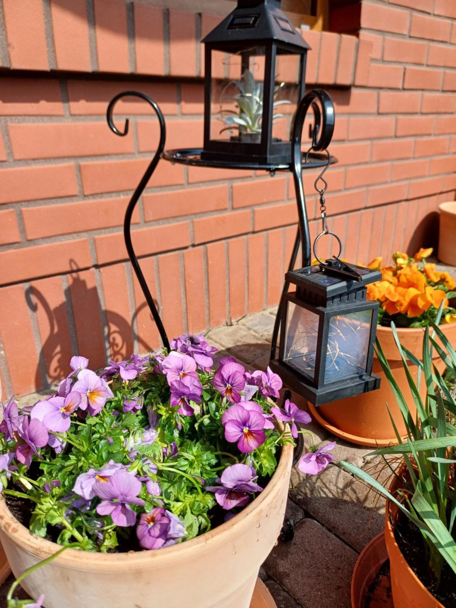 Apartamenty Levilla Rewa Exterior photo